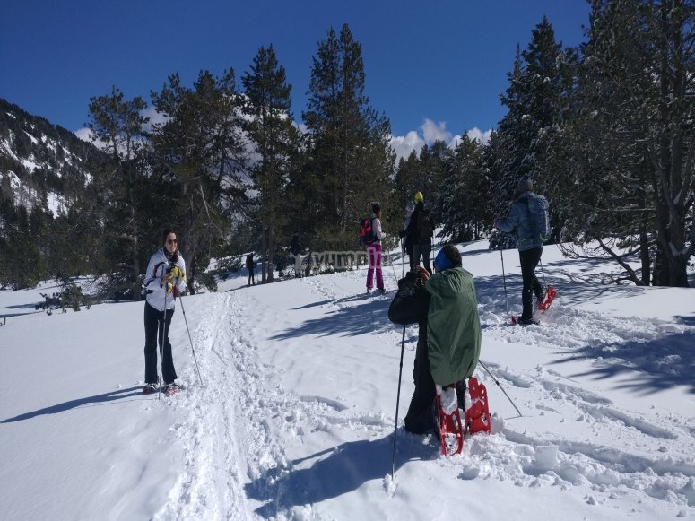 Godersi il paesaggio innevato 