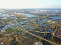 The landscape of Ayamonte 