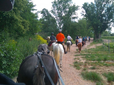 Horseback riding for couples to La Grajera reservoir 2h