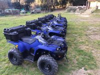  Fleet of quad 