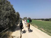 Parcours vert avec chevaux 