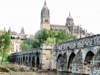 Centro storico di Salamanca 