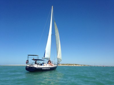 Paseo en velero Parque Natural Bahía de Cádiz 1 h