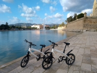  Electric bike tour island of Mallorca