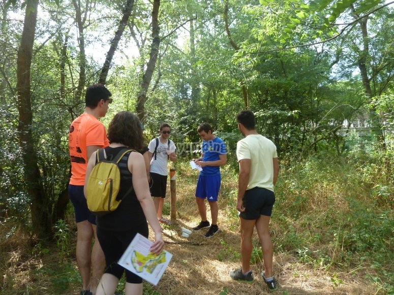  Orientation équipe de travail 