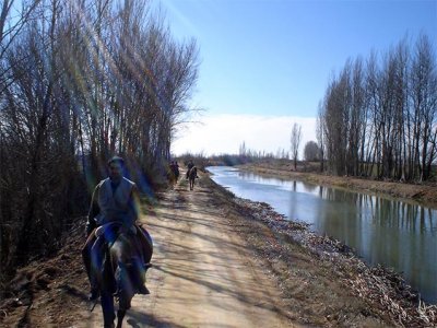 Castilla verde