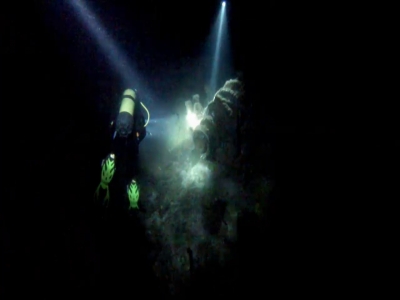Salida buceo nocturna desde barco Tarragona 2 h 30