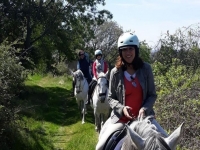 Paseo en el norte de Extremadura
