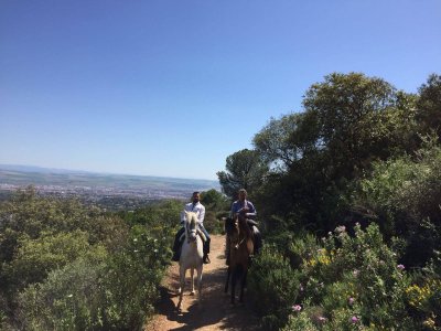 Ruta a caballo de 1 hora en Sierra Morena