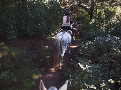 Paseo a caballo 2 horas en Sierra Morena cordobesa
