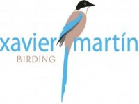 Xavier Martín Birding