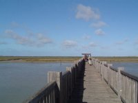  personnes marchant par un pont en bois 