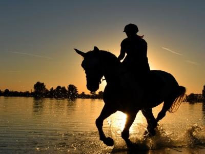 Ruta a Caballo nocturna en playa de Torremolinos