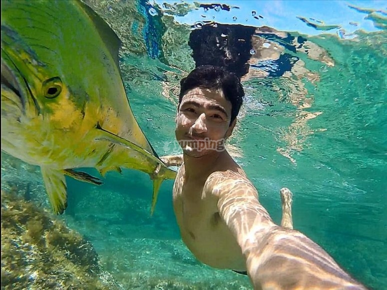 Nadando con una especie autóctona 