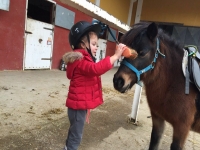 Aprendiendo a cuidar a nuestro pony