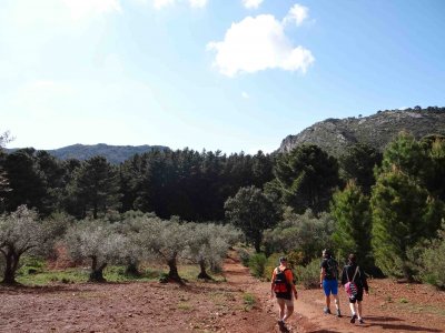 Turiactivo Senderismo