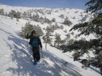 Ruta con raquetas de nieve en Hoya de la Mora 2h