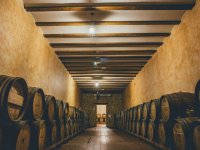  Guided tour of the Villagarcía del Llano winery