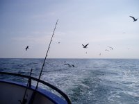 pesca en el mar