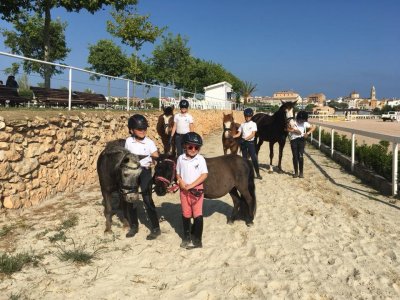 Camp équestre 4 semaines à Vidreres