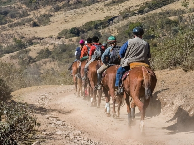 Balade à cheval parmi les vaches en paille El Torcal