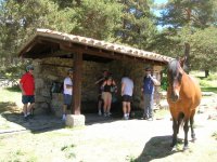 Caballos en las instalaciones