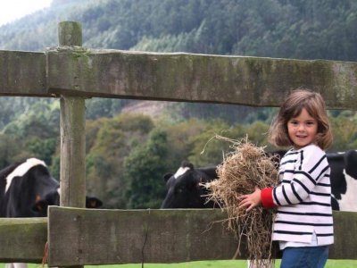 Percorso di compleanno della fattoria di Ortigueira dintorni 1 giorno