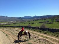  Contemplazione a cavallo della Sierra de Guadarrama 