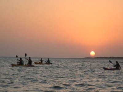 Doñana Activa Kayaks