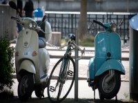  les scooters garés 