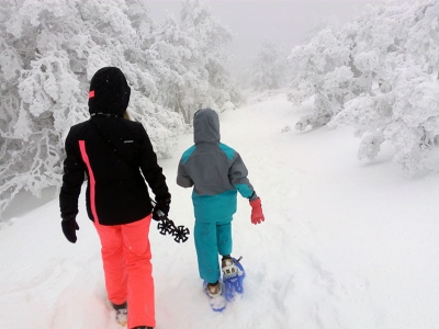 Easy snowshoe tour Puerto Navacerrada 2.5h