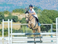  Show jumping classes 