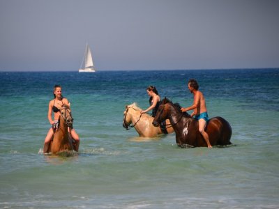 Special route on horseback through Bologna 3 hours