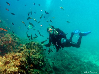 Black Frog Divers