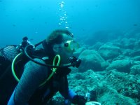 Pandora Buceo