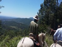 Rutas a caballo para companeros de trabajo