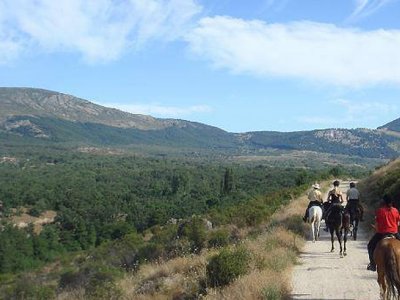 Passeggiata a cavallo al Parque del Patriarca 2 ore e mezza