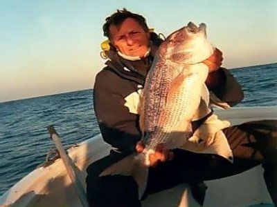 Navigare Con Le Stelle Pesca