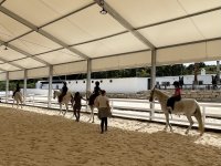 Camp d'équitation d'été 