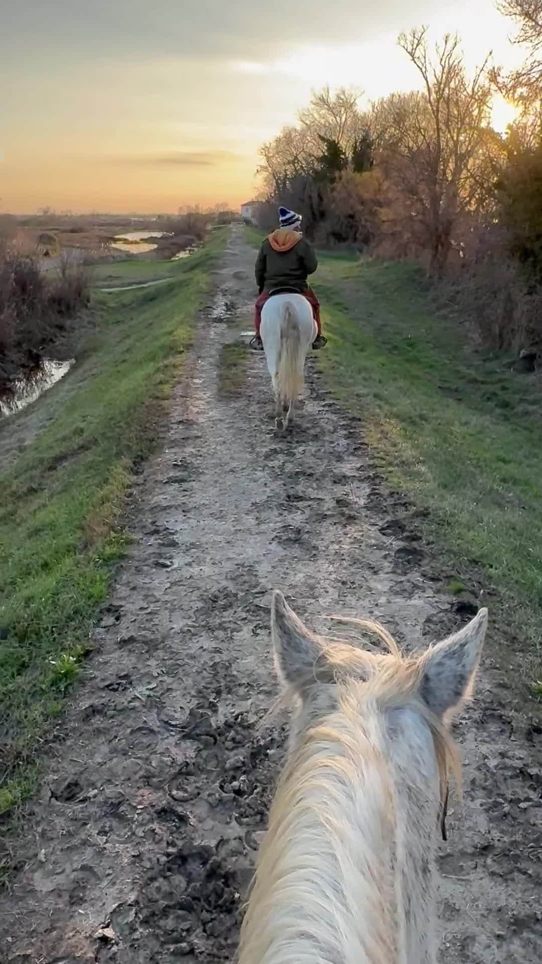 res_o-42266-randonnees-equestres_de_virgadaula-amelie_img-7045_17677762379935.mp4