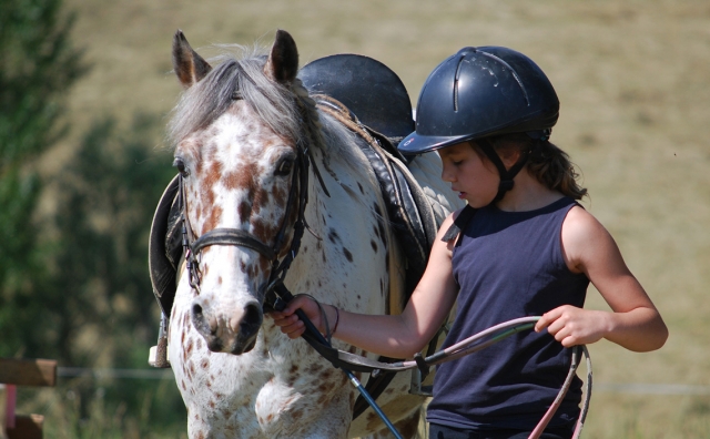 Reiten Frankreich