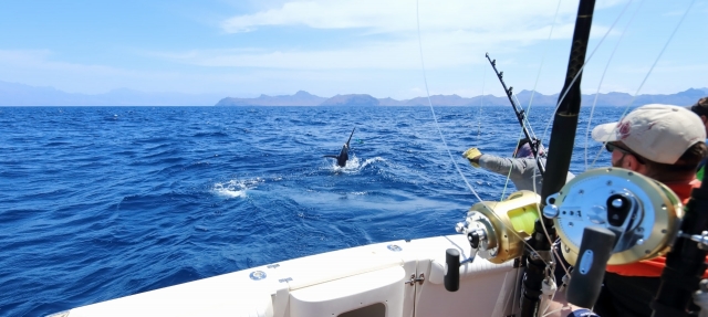 Salida de pesca a las Bocas de Bonifacio 3h45