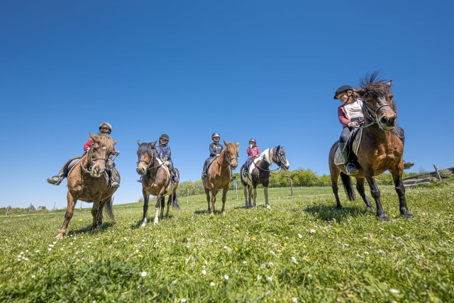 Rutas en Pony Francia