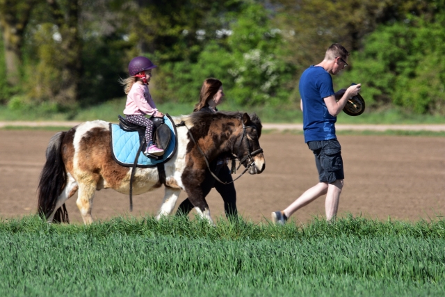 Paseo en pony infantil 45 min en Vulbens