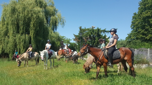 Paseos a caballo en el Parc du Gâtinais - 2 horas
