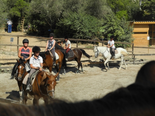 在 Pic de l’Étoile 骑小马 30 分钟