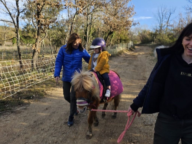 手骑小马 - 30 分钟 - 布里尼奥勒 手骑小马 - 30 分钟 - 布里尼奥勒