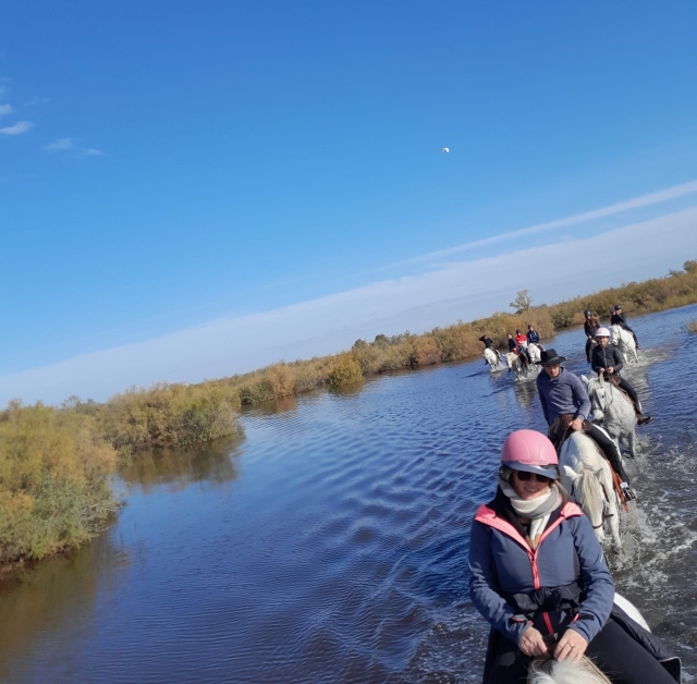 Passeio de cavalos particular na Camargue - 1h30