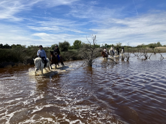 Passeio a cavalo na Camargue + aperitivo - 2h