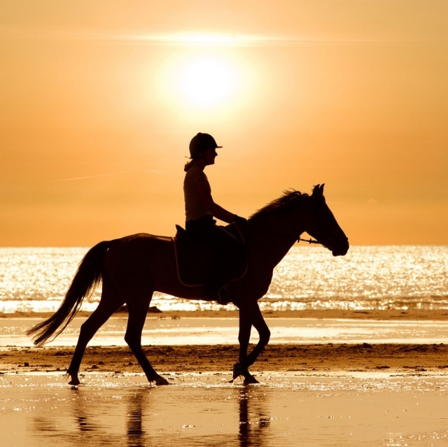 Passeio a cavalo Crepúsculo+aperitivo - Camargue-2h